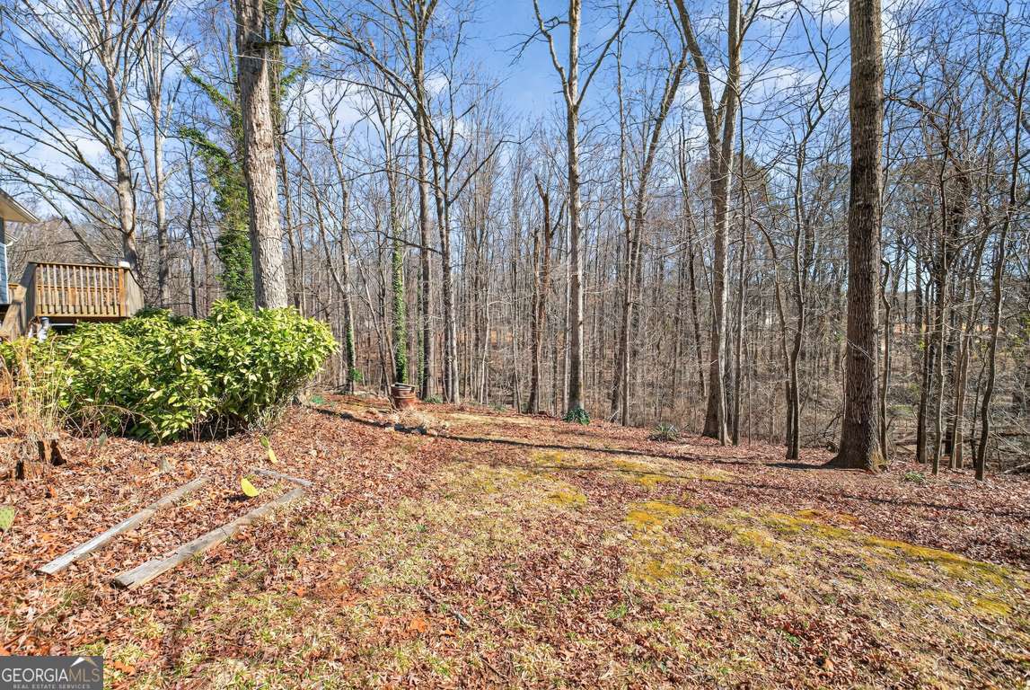 2539 Forestdale Drive Dacula GA 30019