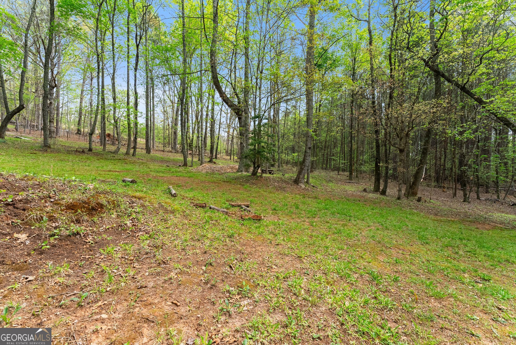 656 Stanley Nix Road Cleveland GA 30528