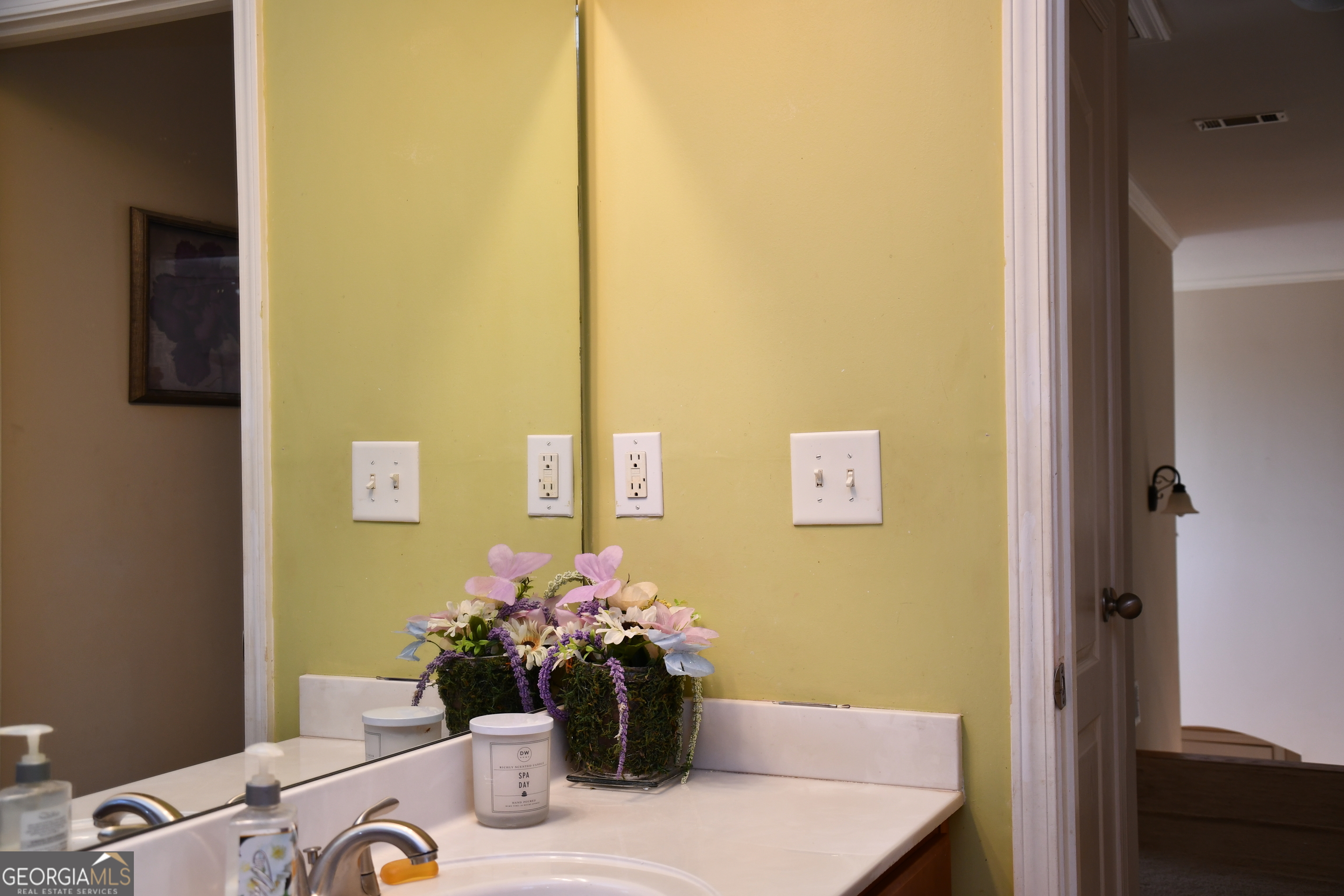 3624 Little Spring Drive Stockbridge GA 30281