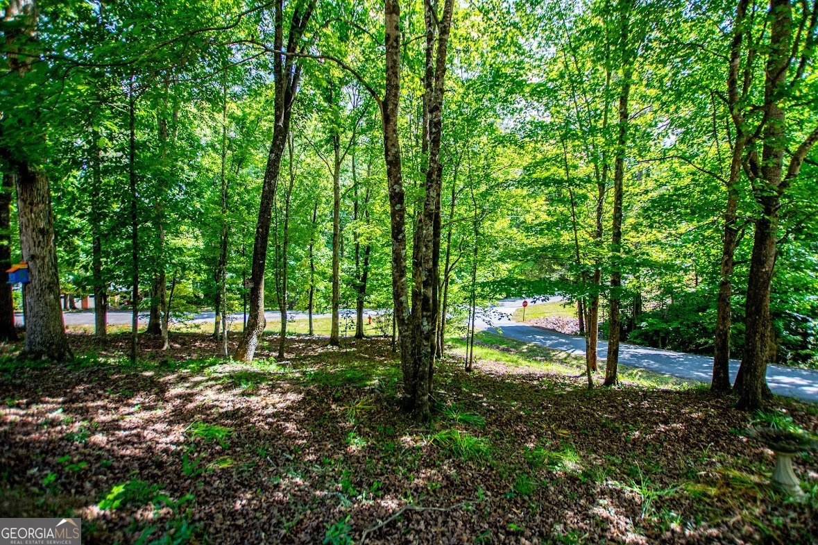 7306 Melrose Court Villa Rica GA 30180