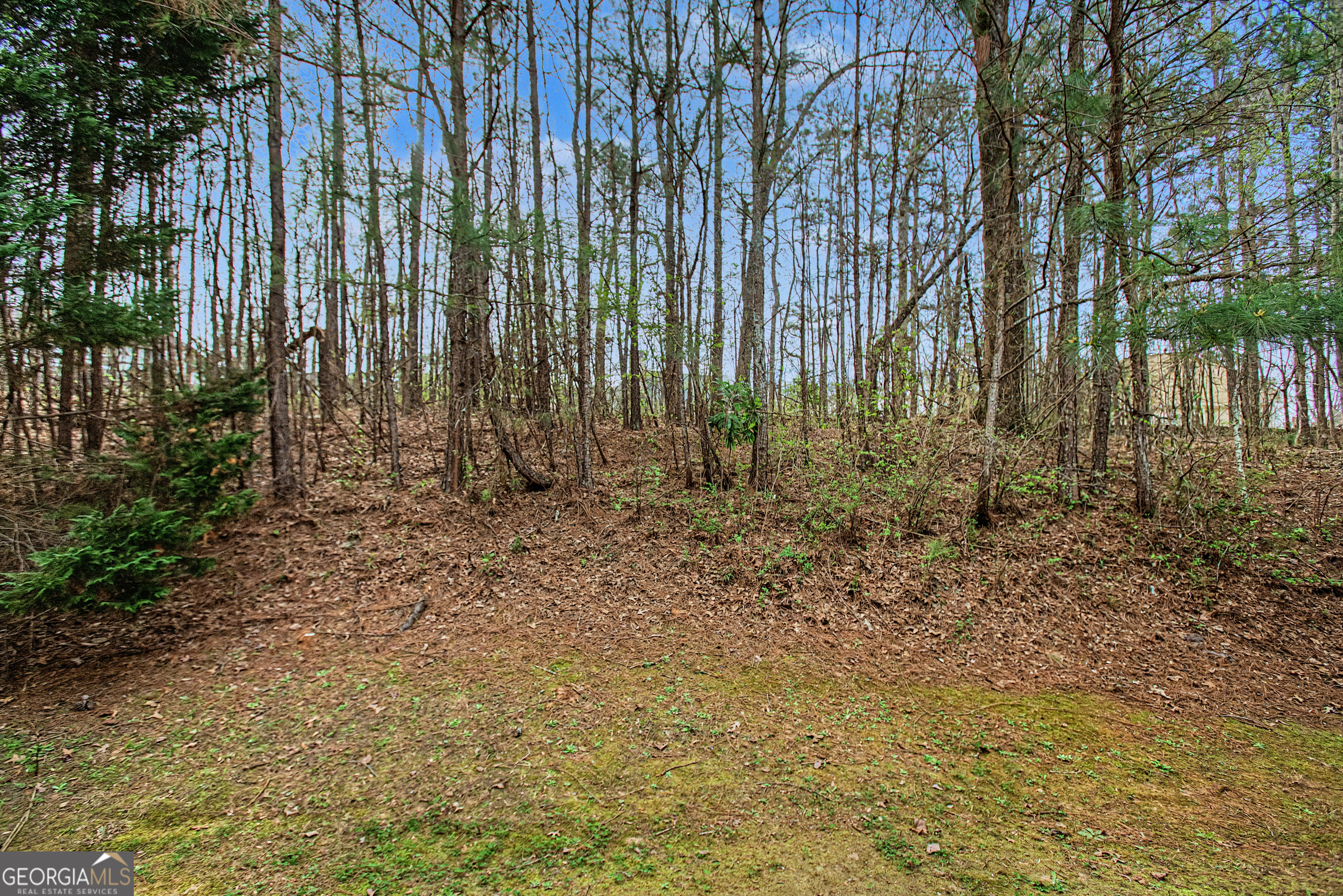 1125 Buckingham Terrace Fairburn GA 30213