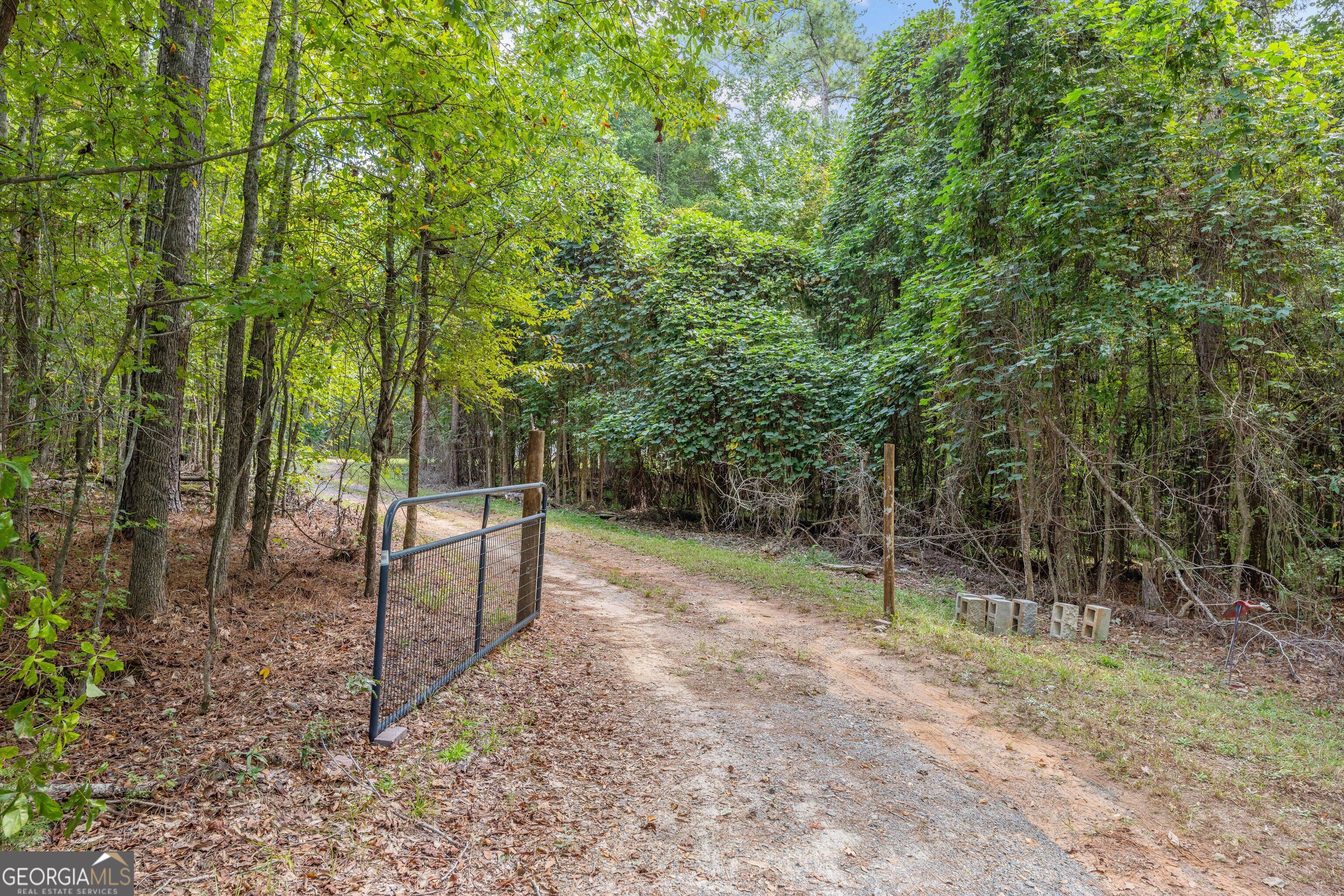 5301 Geneva Highway Talbotton GA 31827