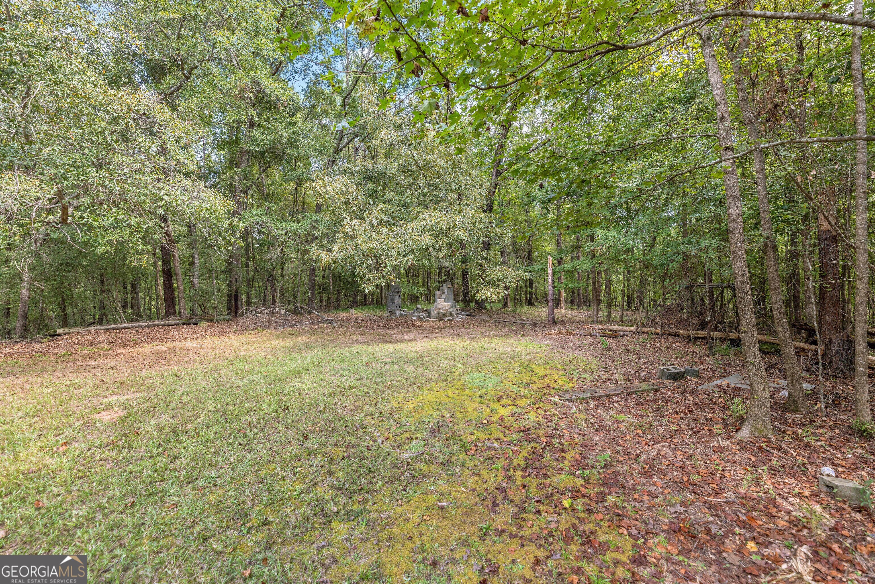 5301 Geneva Highway Talbotton GA 31827