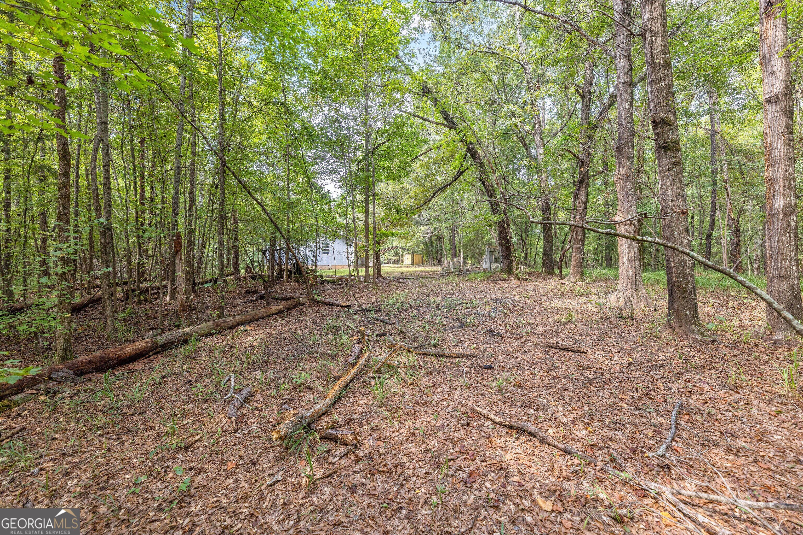 5301 Geneva Highway Talbotton GA 31827
