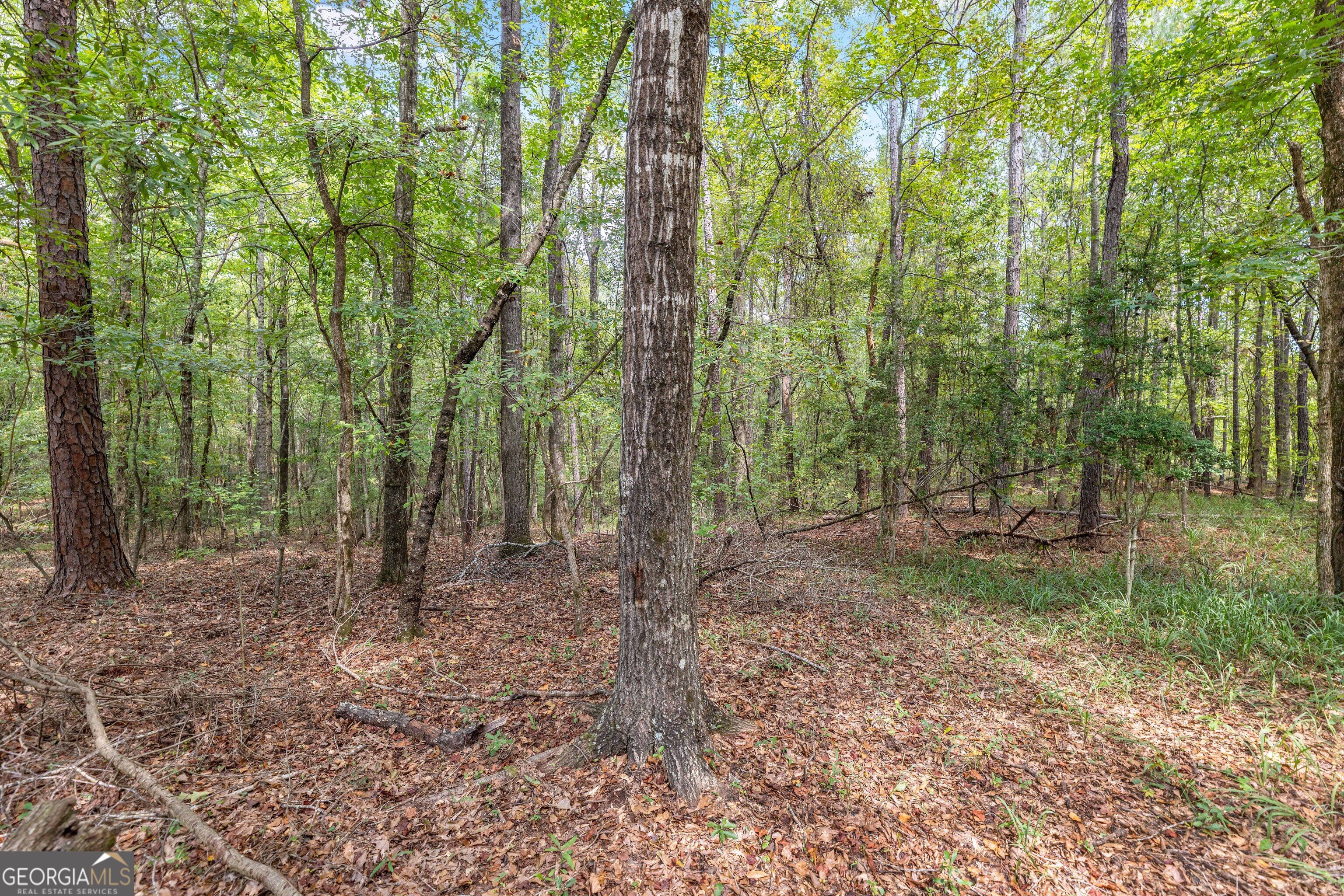 5301 Geneva Highway Talbotton GA 31827