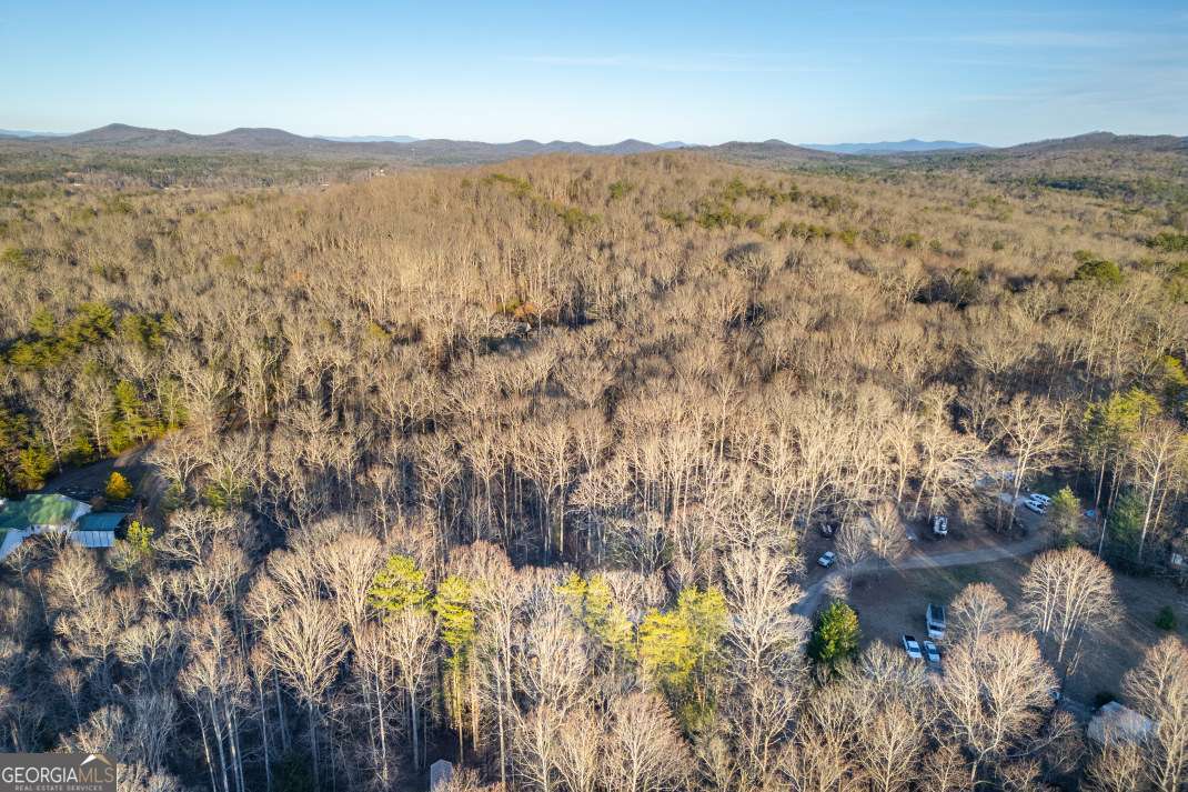 125 Cedar Lane Morganton GA 30560