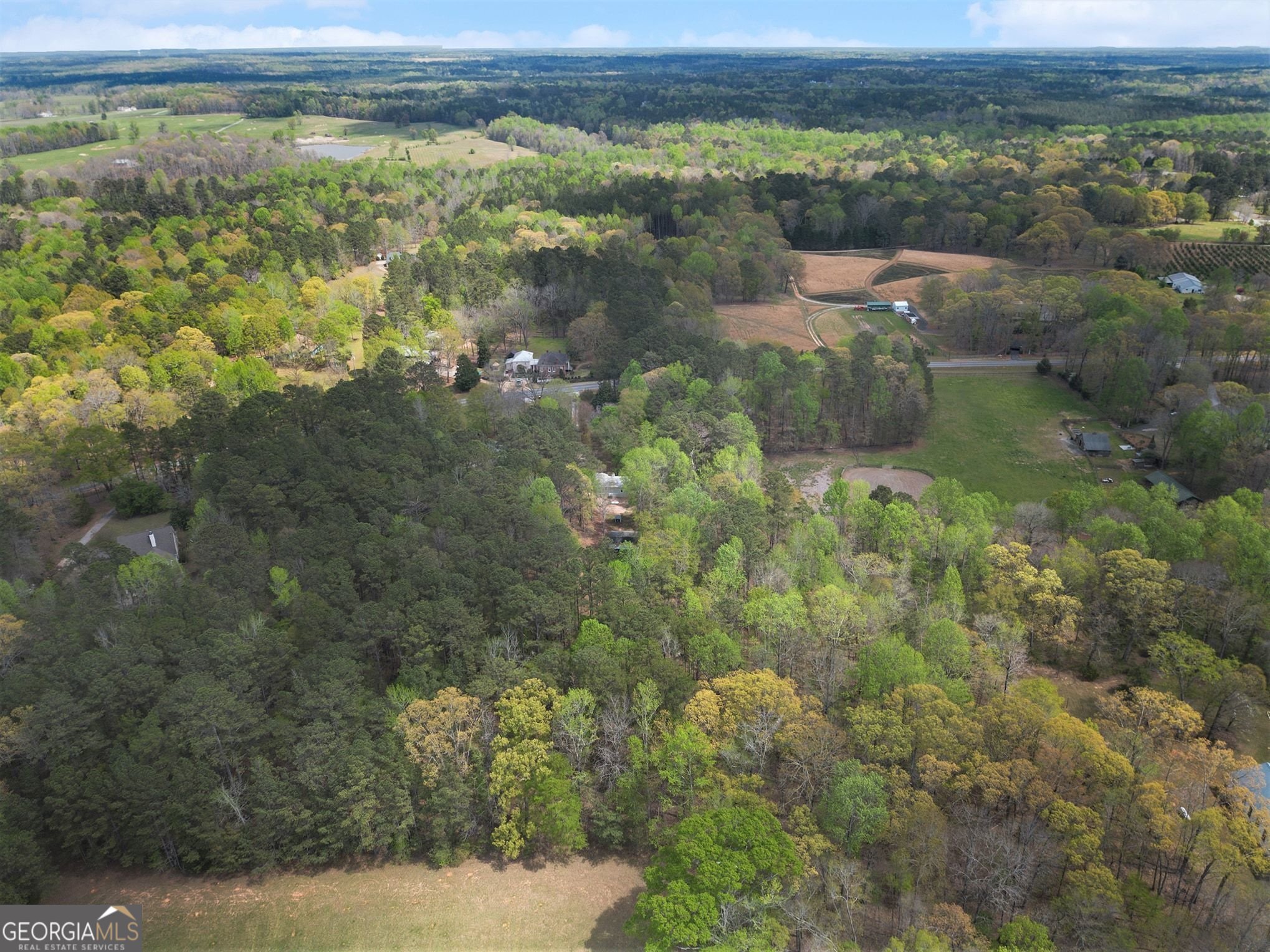 1201 Sid Hunter Road Senoia GA 30276