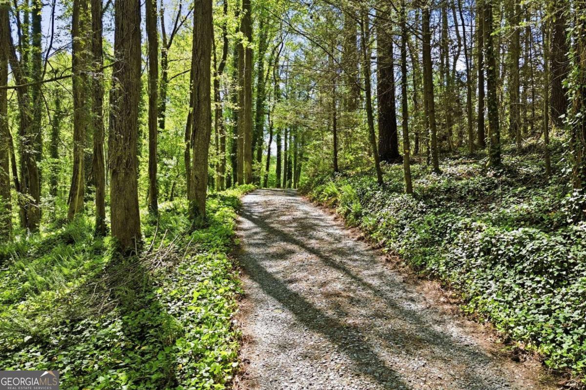 10758 Chatsworth Highway Ellijay GA 30540