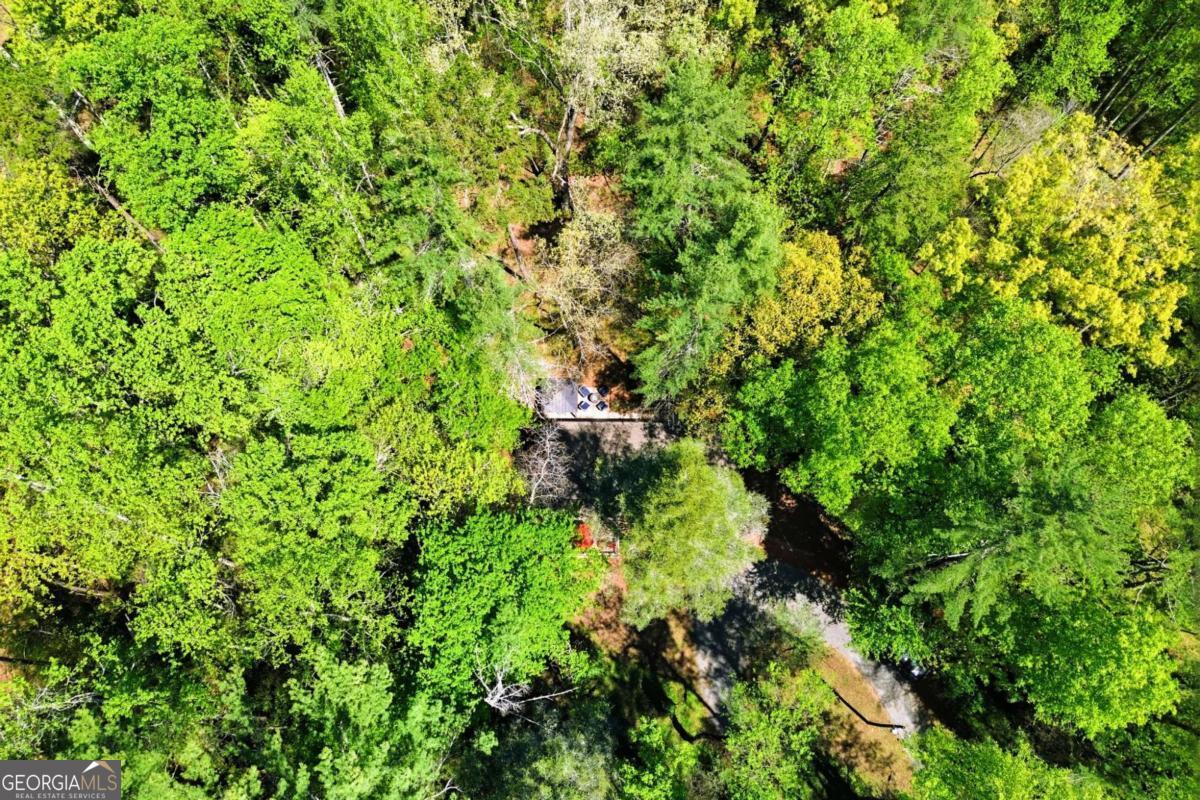 10758 Chatsworth Highway Ellijay GA 30540