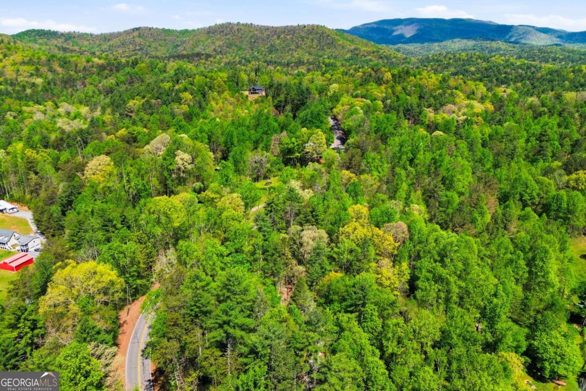 10758 Chatsworth Highway Ellijay GA 30540