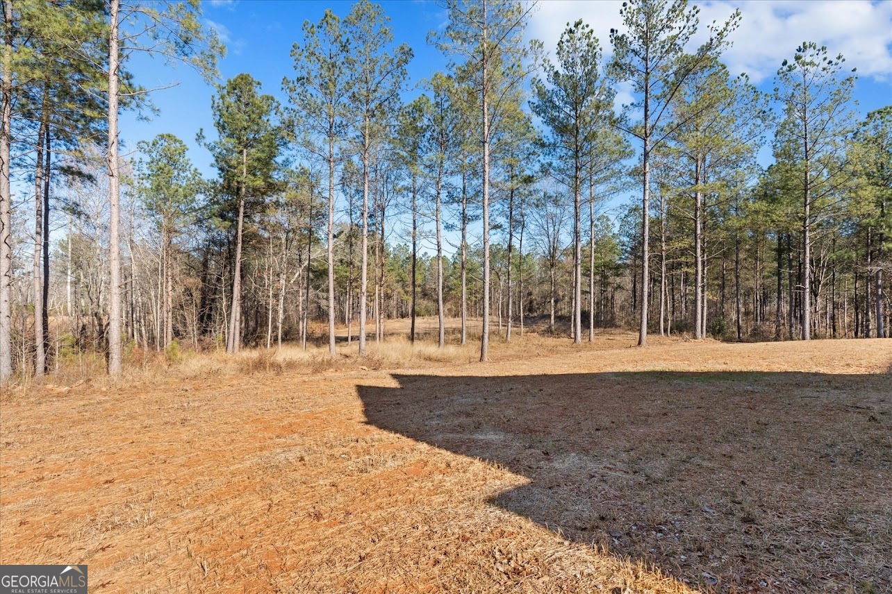 1374 Morgan Road Bremen GA 30110