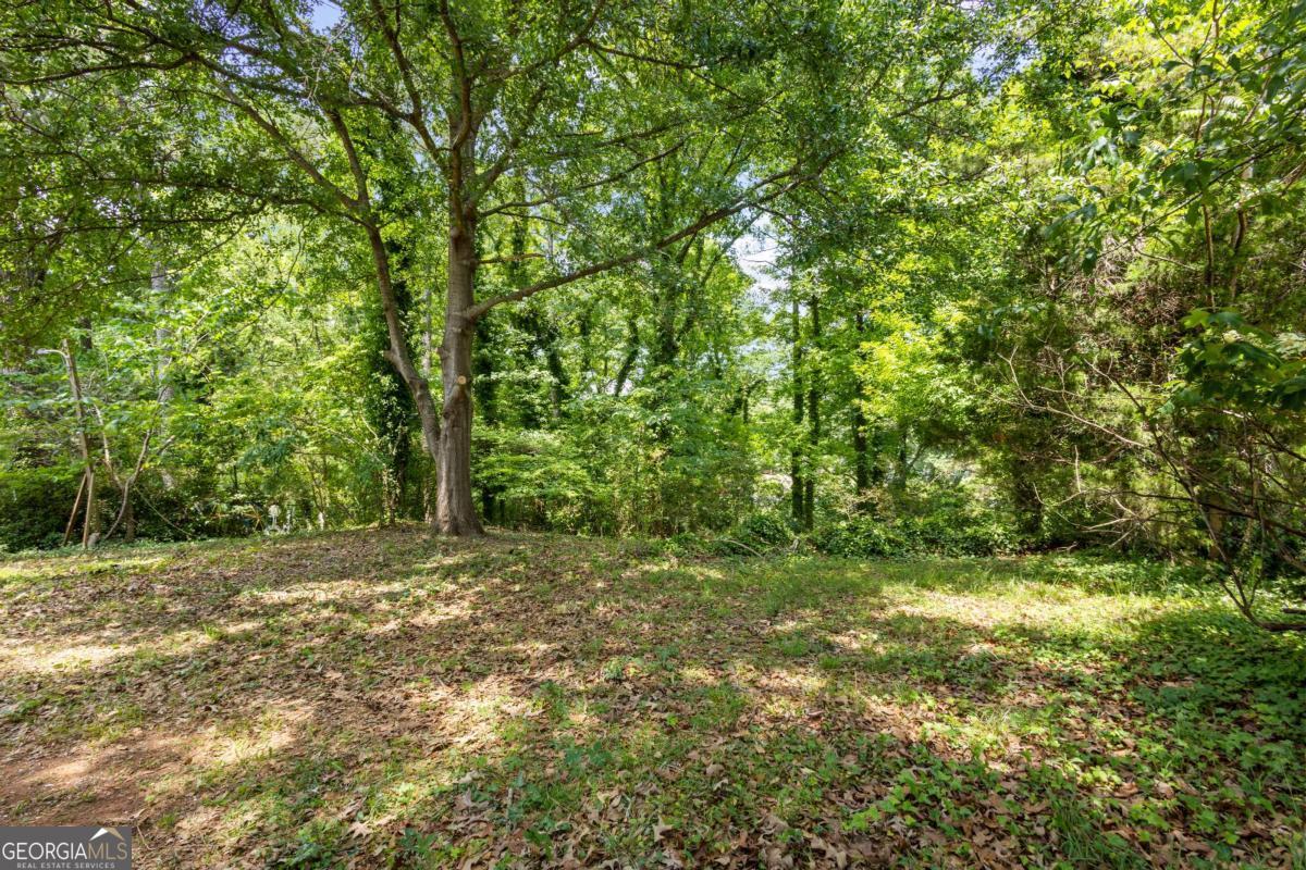 1673 Flintwood Drive SE Atlanta GA 30316