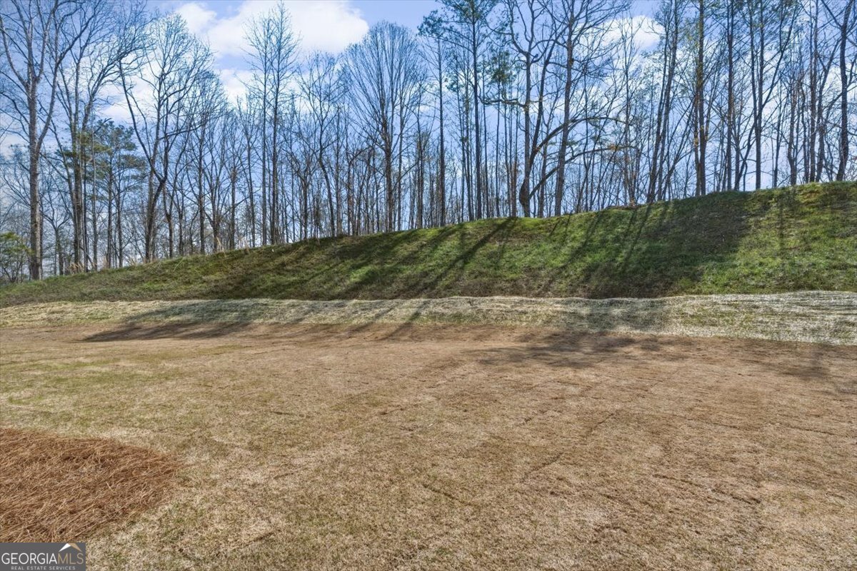 7004 Foundry Drive Woodstock GA 30188