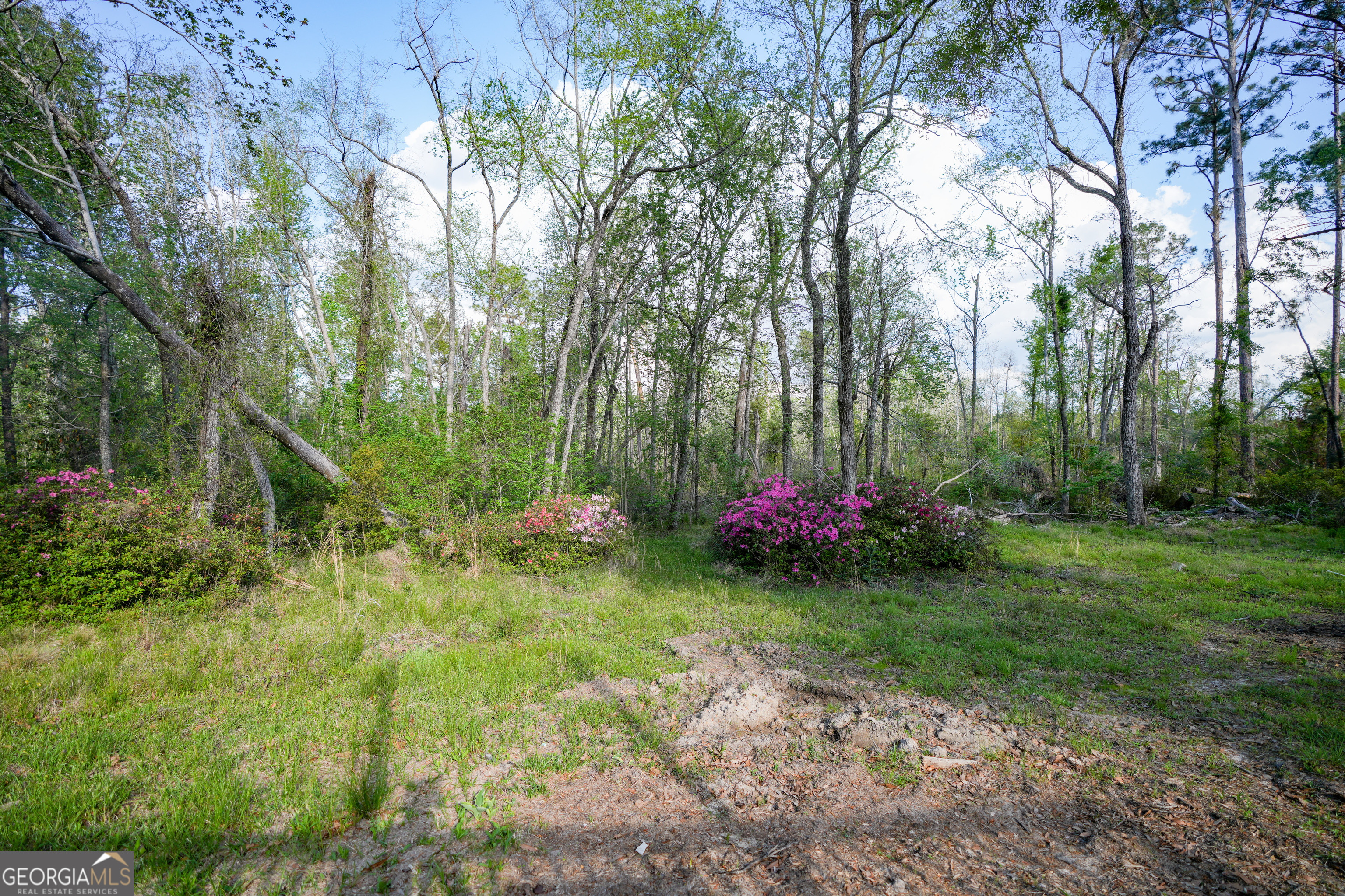 580 Limestone Street Mount Vernon GA 30445
