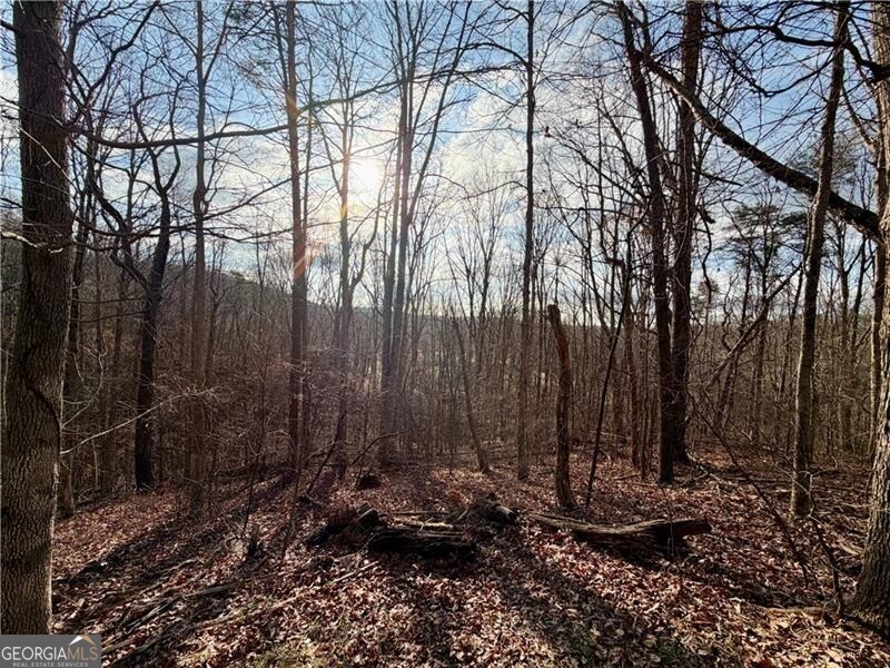 1565 Shoal Creek Road NW Clermont GA 30527