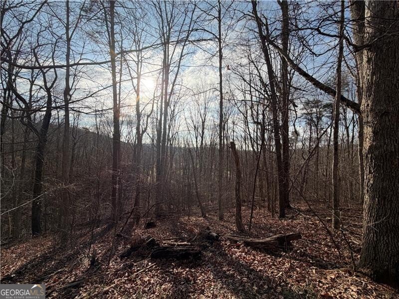 1565 Shoal Creek Road NW Clermont GA 30527