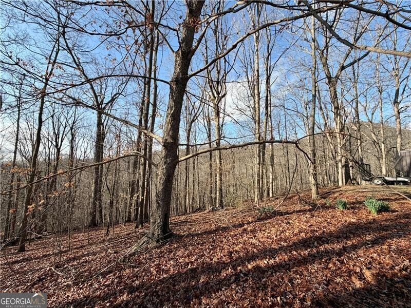 1565 Shoal Creek Road NW Clermont GA 30527