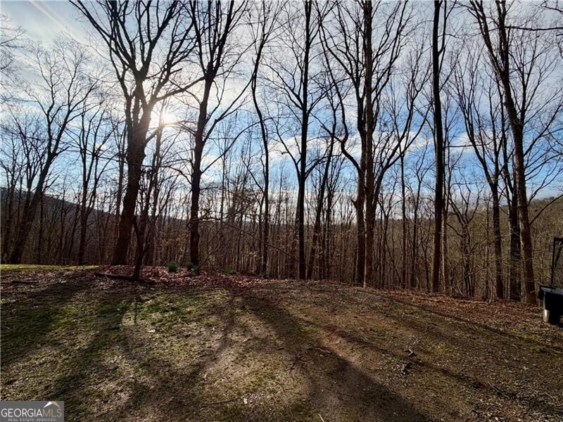 1565 Shoal Creek Road NW Clermont GA 30527