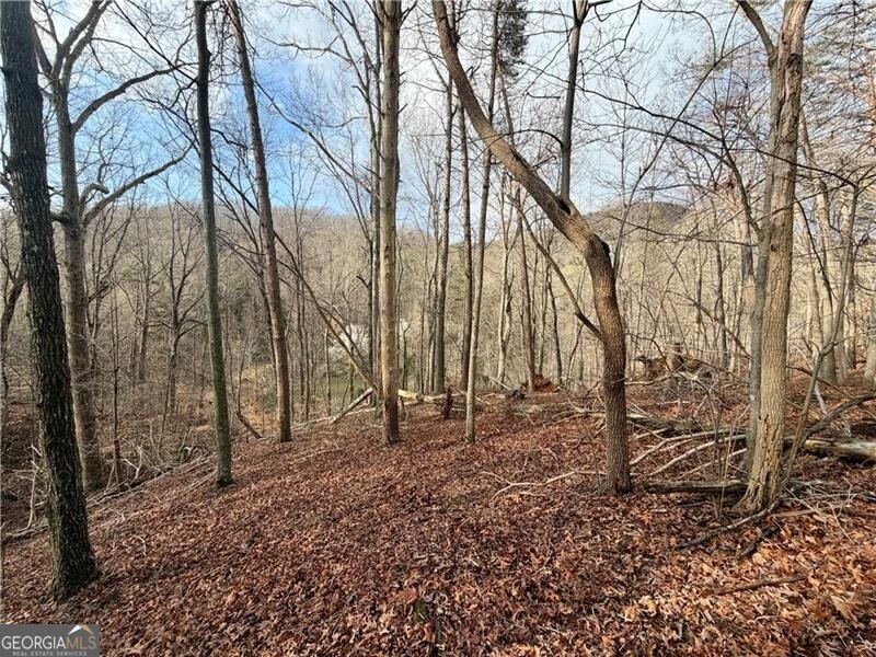 1565 Shoal Creek Road NW Clermont GA 30527
