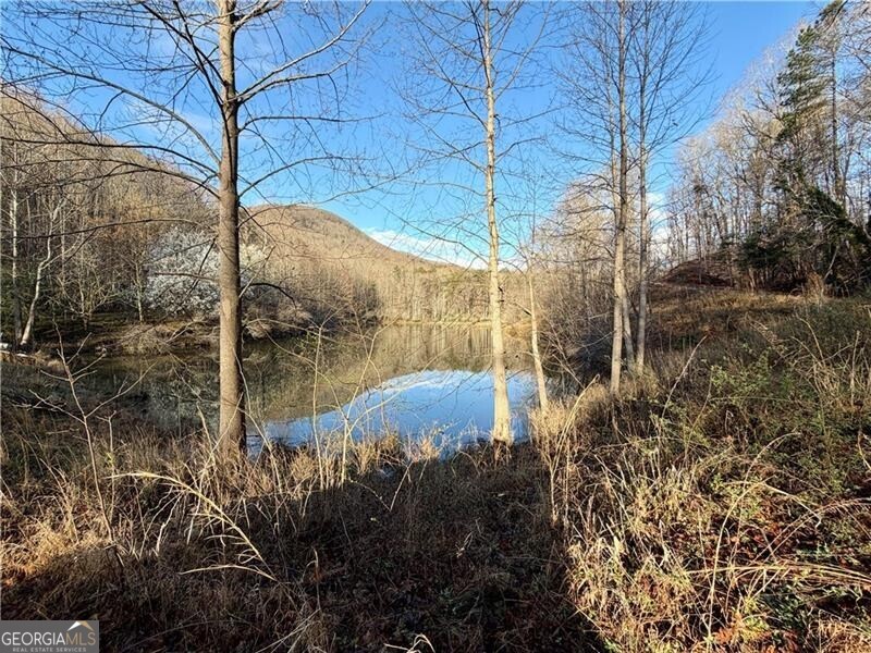 1565 Shoal Creek Road NW Clermont GA 30527