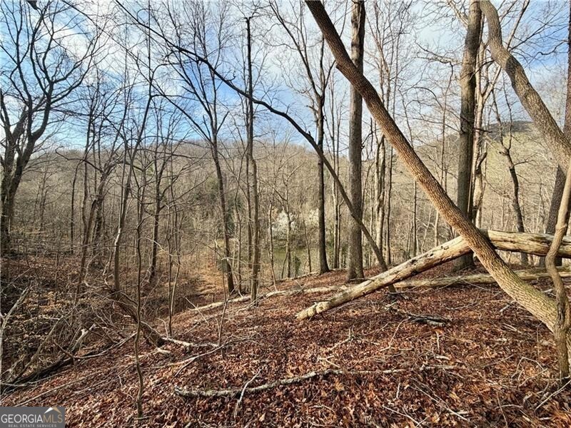 1565 Shoal Creek Road NW Clermont GA 30527