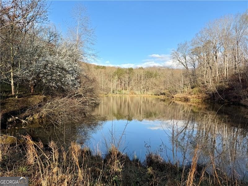 1565 Shoal Creek Road NW Clermont GA 30527