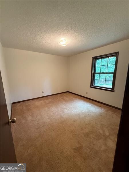 1565 Shoal Creek Road NW Clermont GA 30527