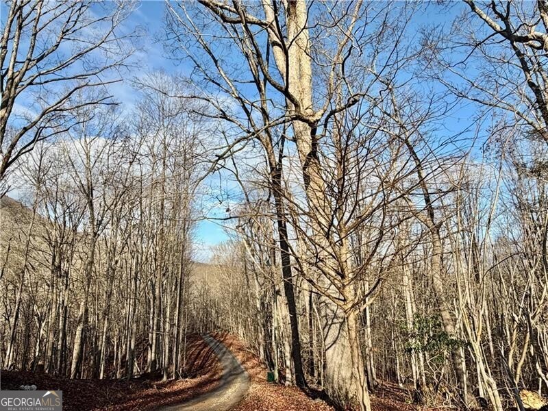 1565 Shoal Creek Road NW Clermont GA 30527