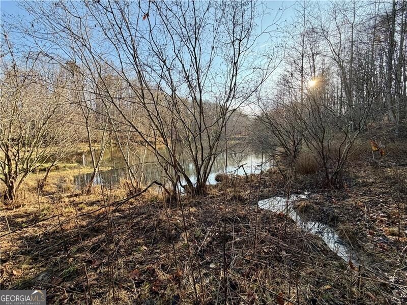 1565 Shoal Creek Road NW Clermont GA 30527