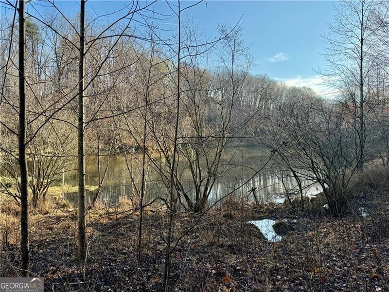 1565 Shoal Creek Road NW Clermont GA 30527