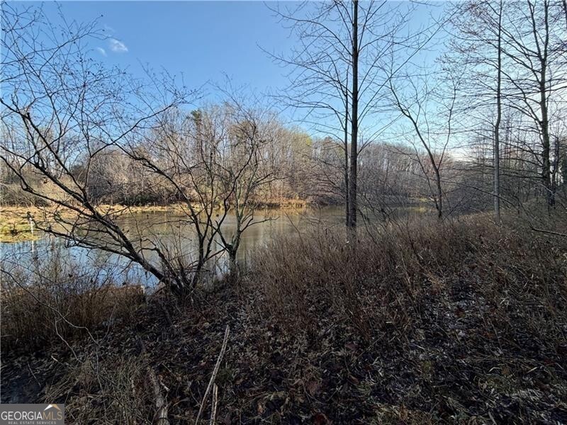 1565 Shoal Creek Road NW Clermont GA 30527