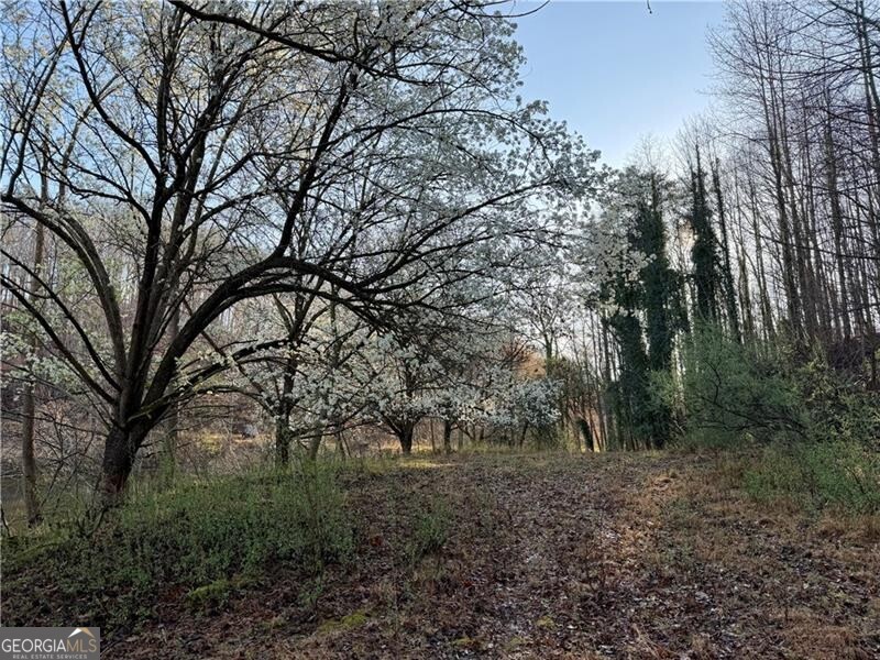 1565 Shoal Creek Road NW Clermont GA 30527