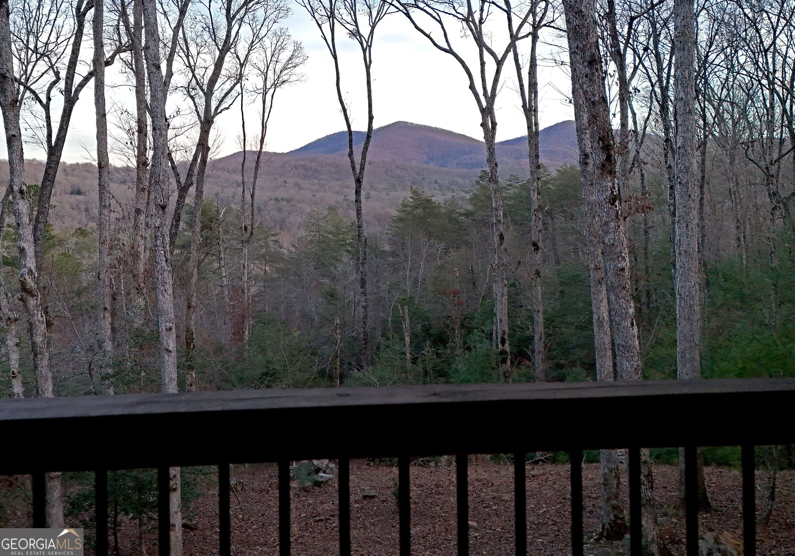 306 Native Trail Blue Ridge GA 30513