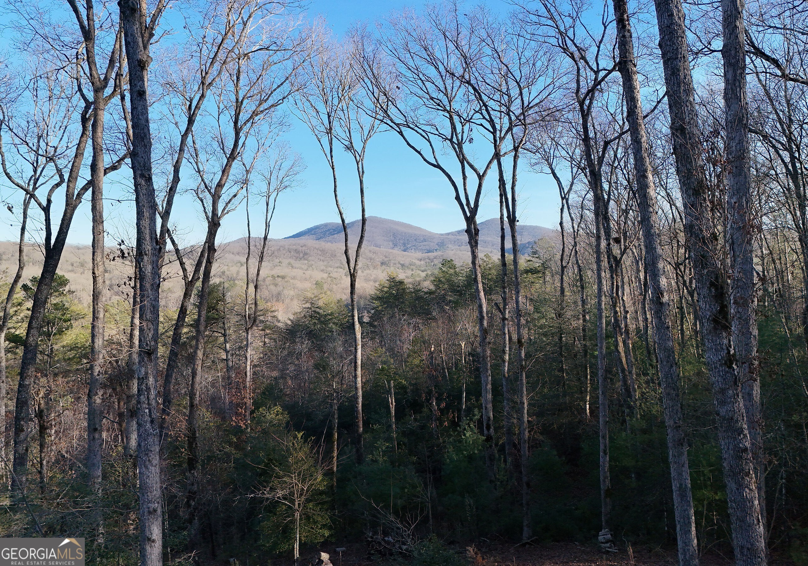 306 Native Trail Blue Ridge GA 30513