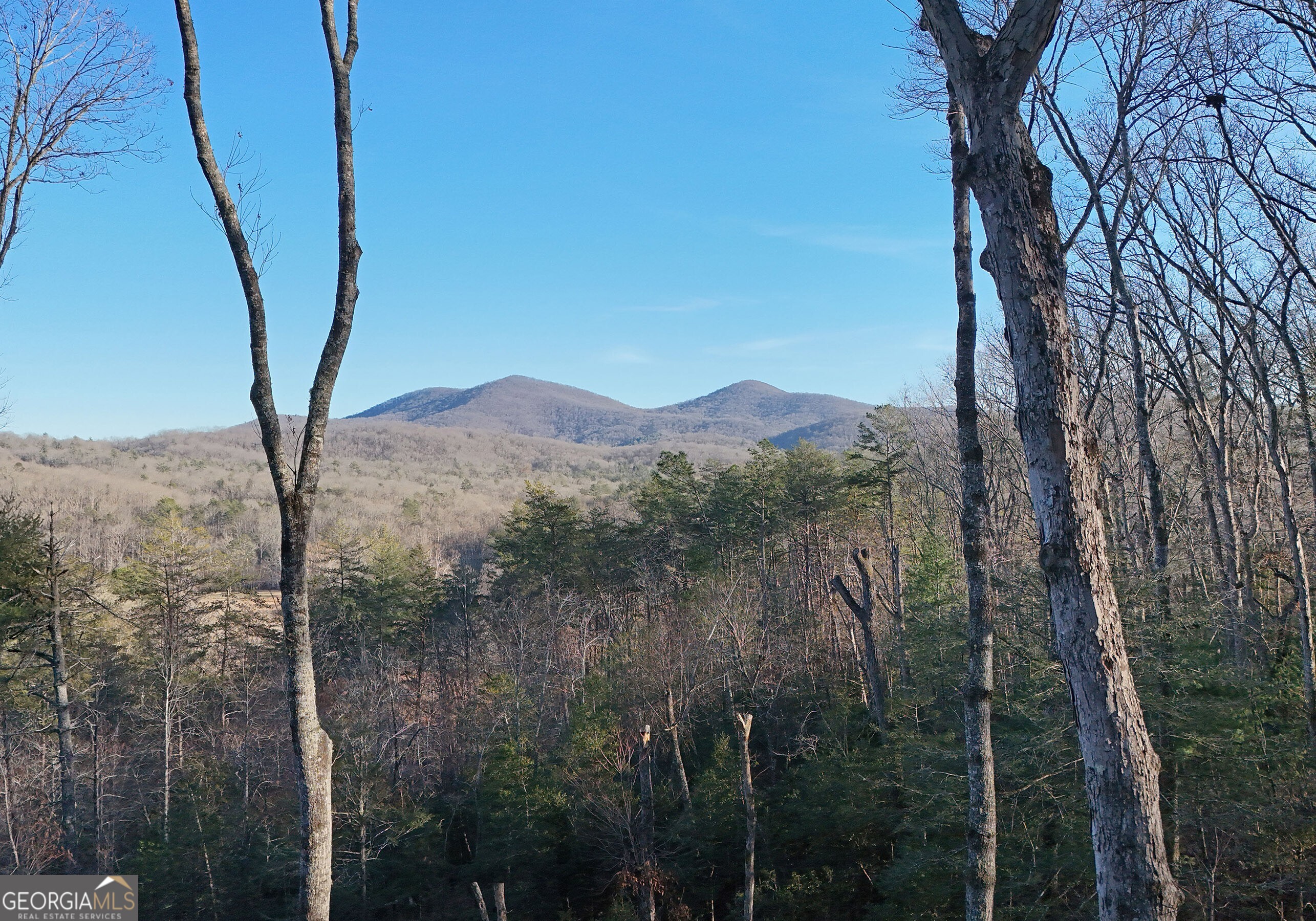 306 Native Trail Blue Ridge GA 30513