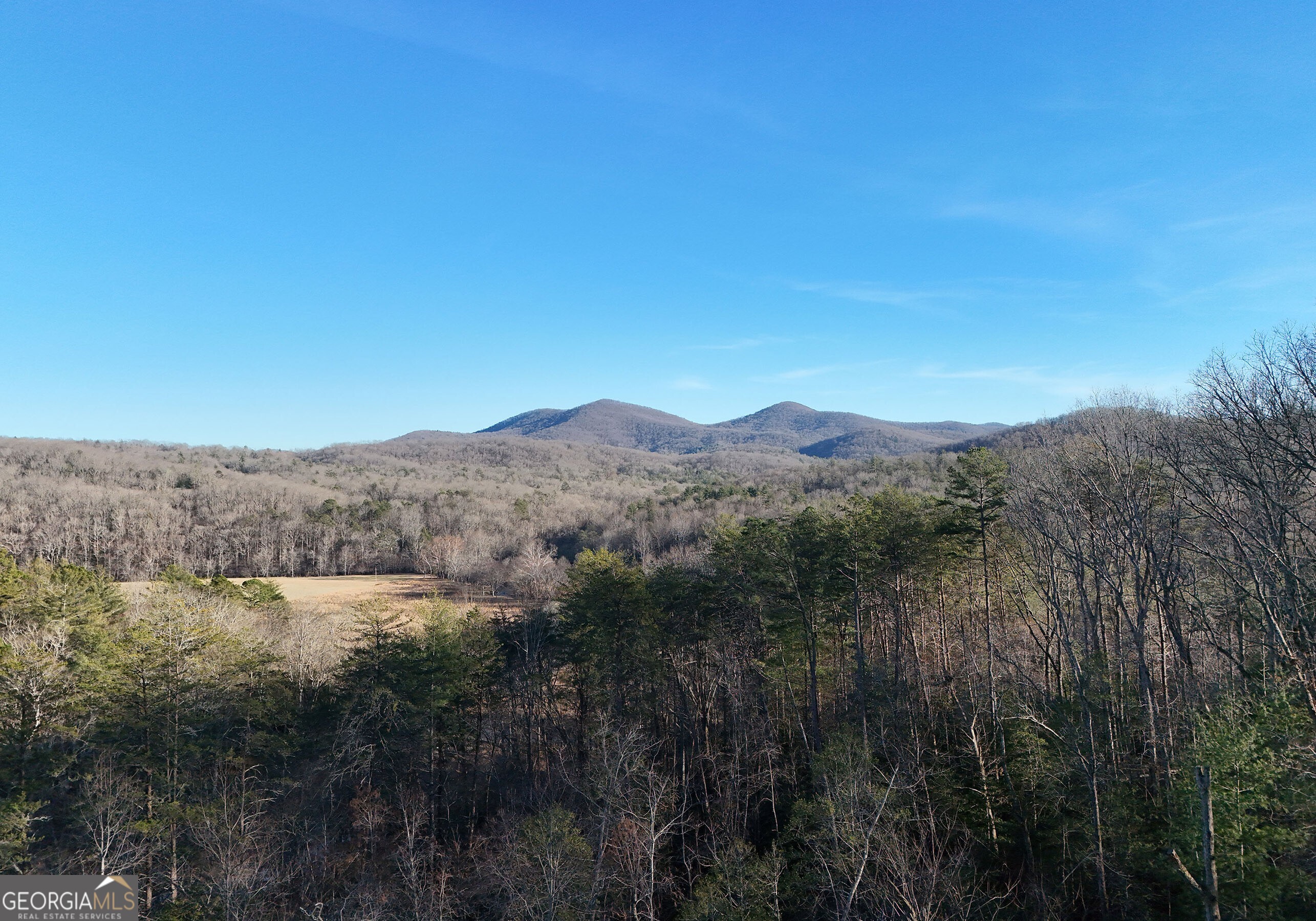 306 Native Trail Blue Ridge GA 30513