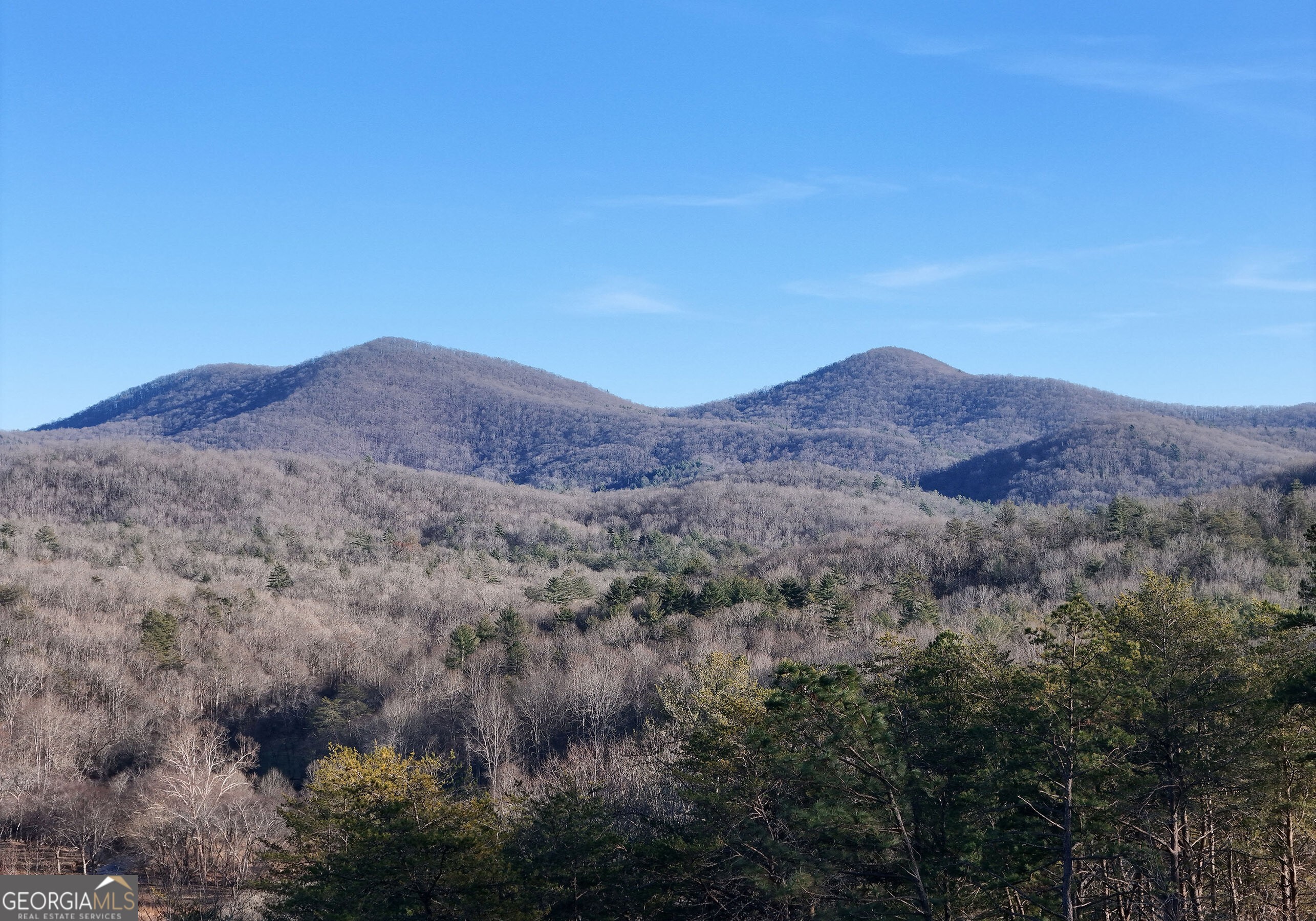 306 Native Trail Blue Ridge GA 30513