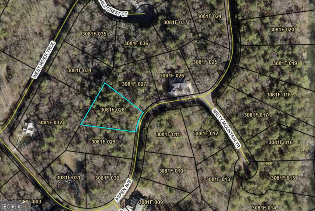 291 Aspen Avenue Ellijay GA 30536