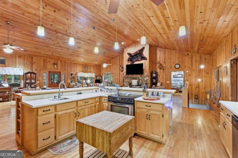 491 Jim Carter Road Clarkesville GA 30523
