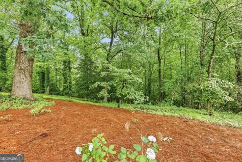 2218 J Warren Road Cornelia GA 30531