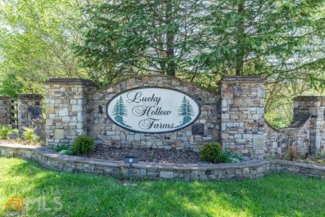 70 Caspian Trail Ellijay GA 30536