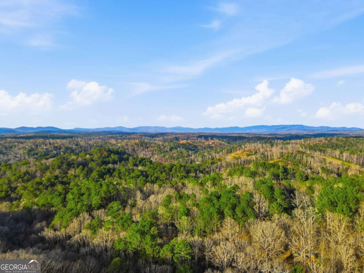 677 Catawba Circle Ellijay GA 30540