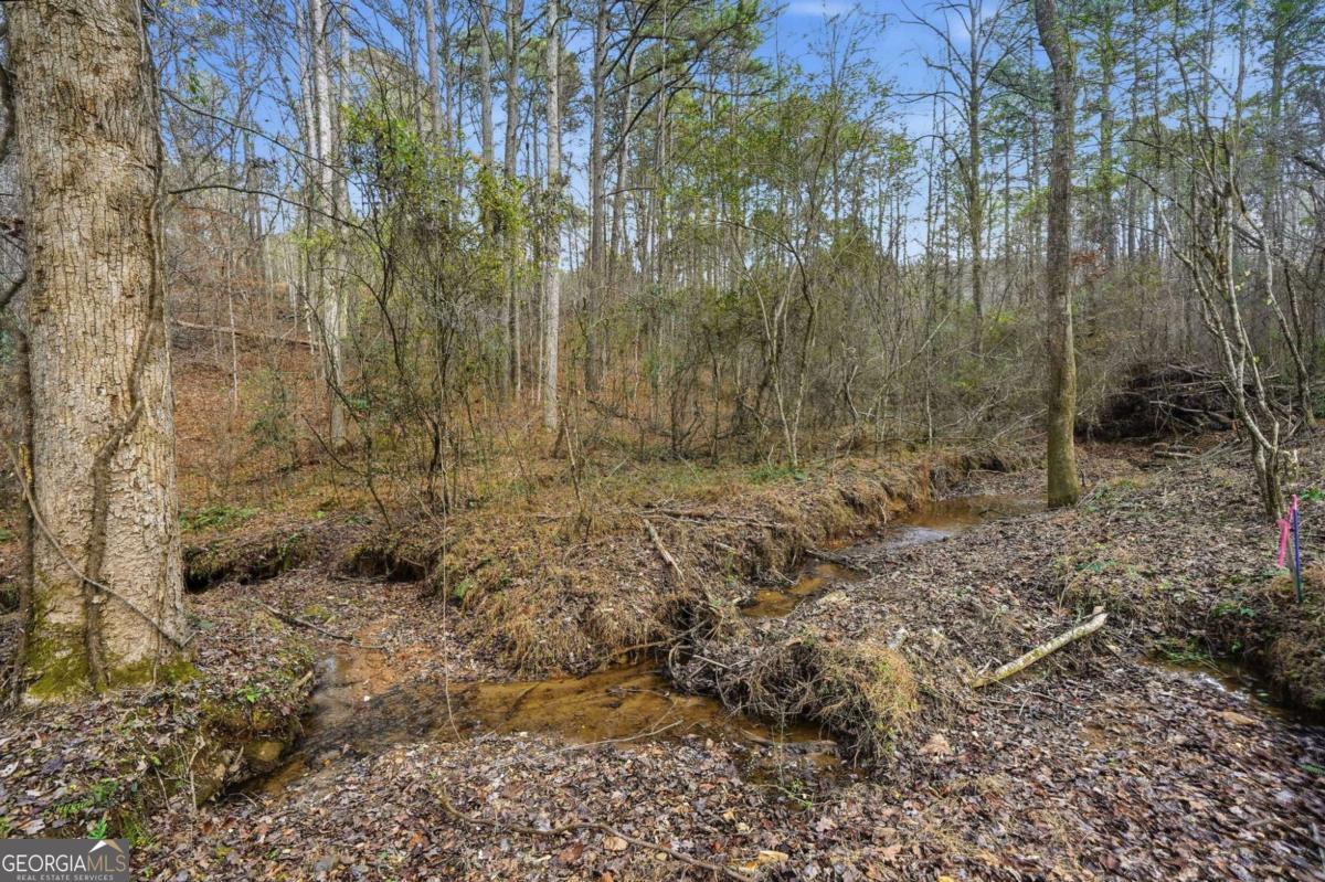 677 Catawba Circle Ellijay GA 30540