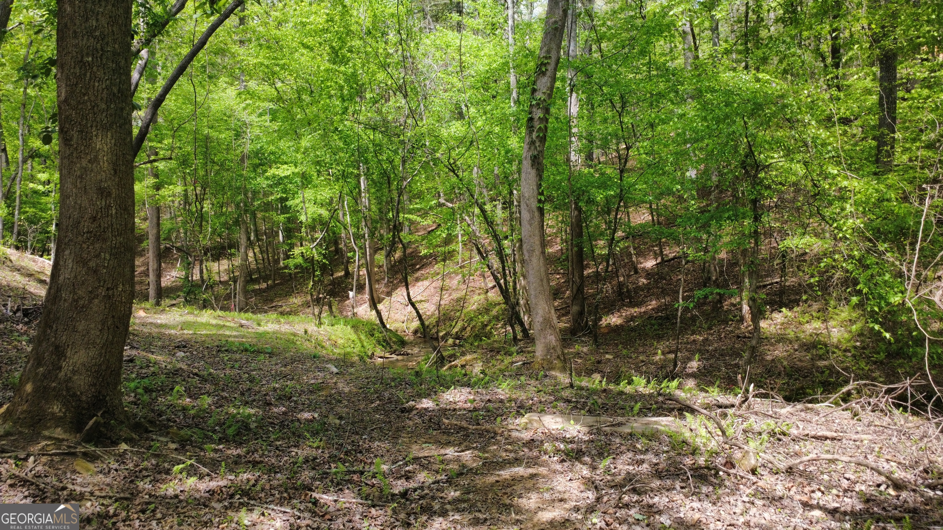 677 Catawba Circle Ellijay GA 30540