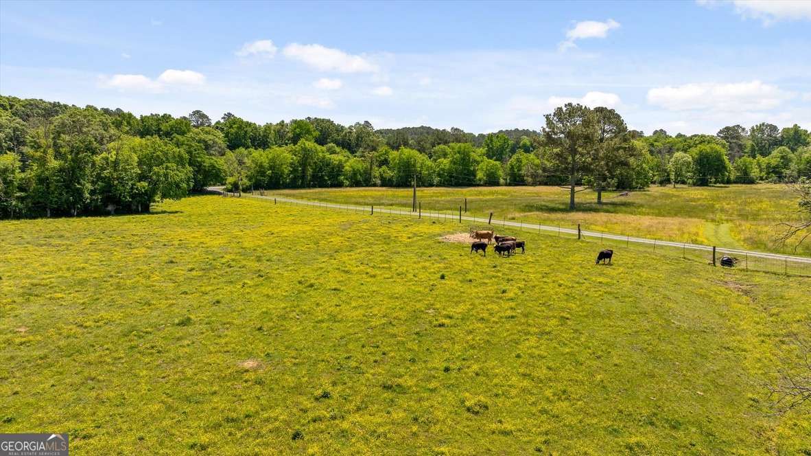 446 Brown Bridge Road Chatsworth GA 30705