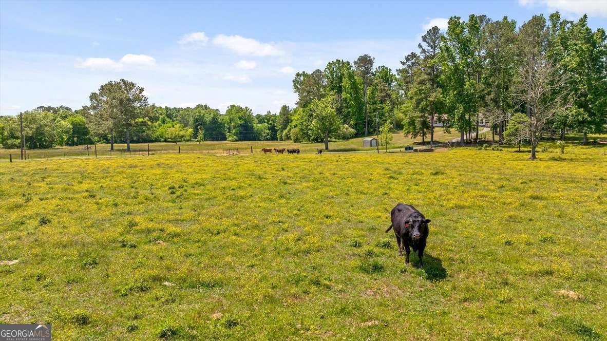 446 Brown Bridge Road Chatsworth GA 30705