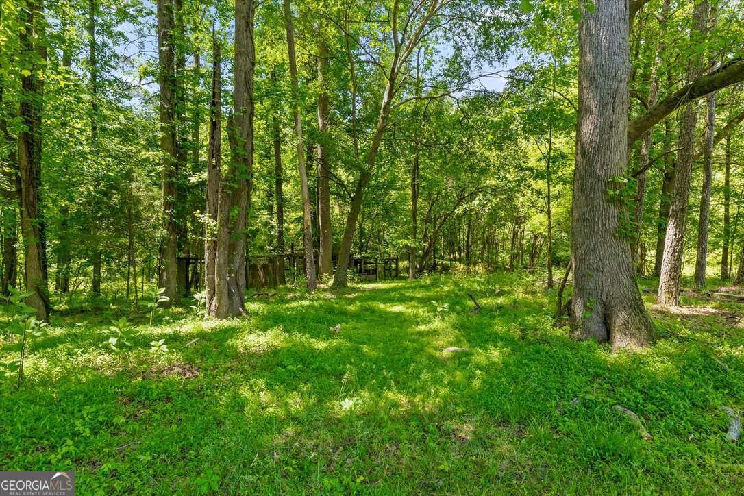 446 Brown Bridge Road Chatsworth GA 30705