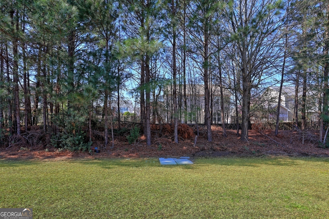 158 Willow Point Circle Savannah GA 31407