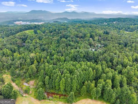 481 Leona Lane Cleveland GA 30528