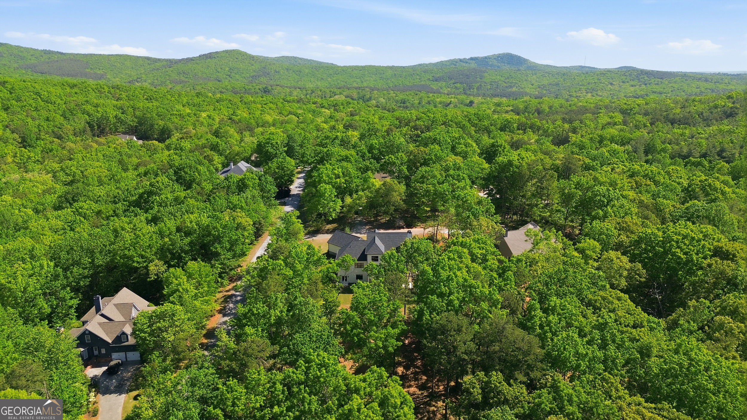 110 Fall Pippin Court Clarkesville GA 30523